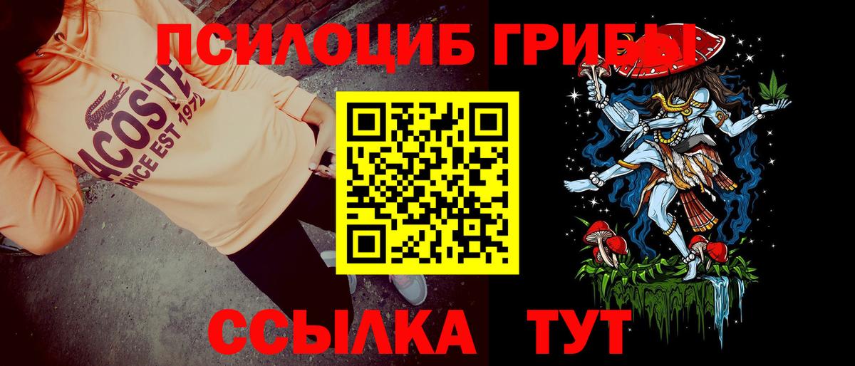Галлюциногенные грибы Cubensis Мичуринск